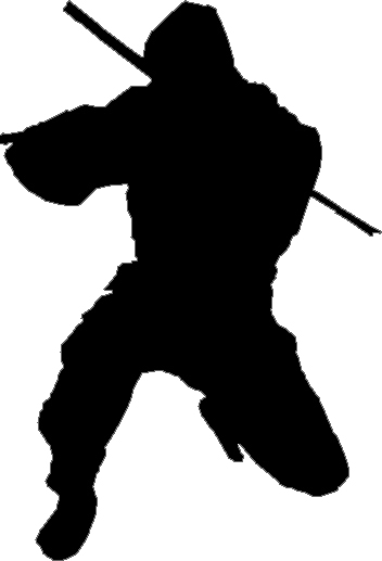 ninja